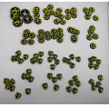 Disney Lorcana Tokens Set – +/− Counters, Damage Tokens, Status Markers