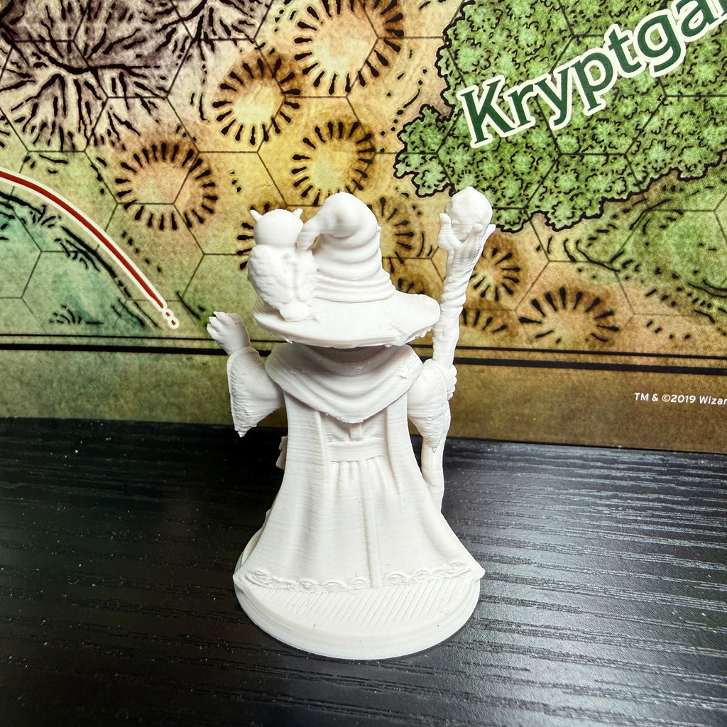Cat Wizard Miniature | 2" Fantasy Cat Mage with Owl Familiar | D&D Catfolk Wizard | Tabletop RPG Miniature | Spellcaster Character Figure
