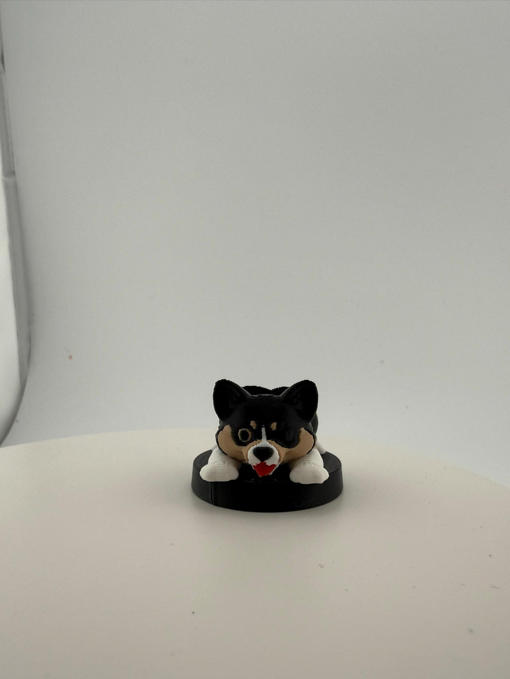 Olive the One-Eyed Corgi D20 Dice Holder